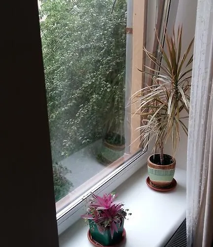 דירה White House